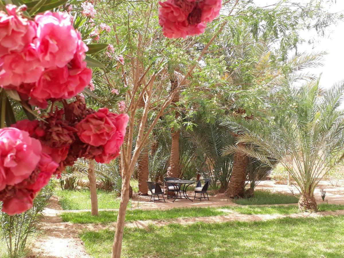 Dar Paru Bed & Breakfast M'Hamid Luaran gambar