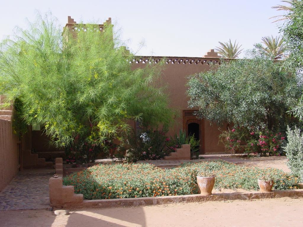 Dar Paru Bed & Breakfast M'Hamid Luaran gambar