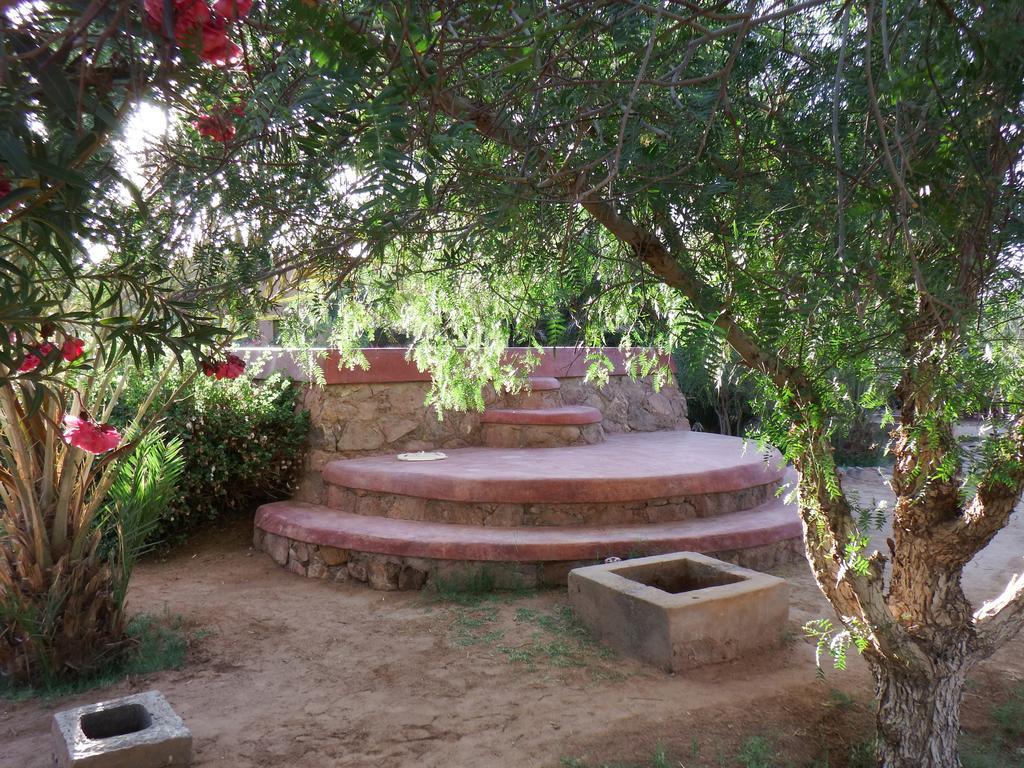 Dar Paru Bed & Breakfast M'Hamid Luaran gambar